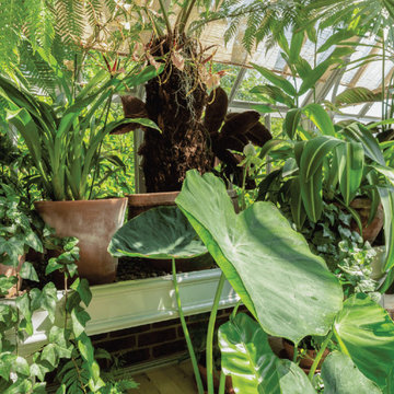 Tropical Tatton Greenhouse