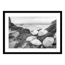 Prints