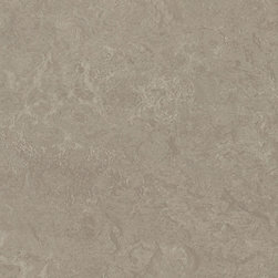 Forbo - Forbo Marmoleum Real, Sparrow - 3252 - Flooring