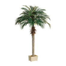Wish List