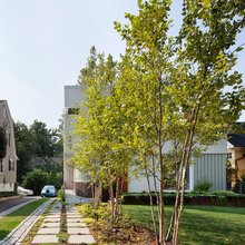 Landscape Ideas