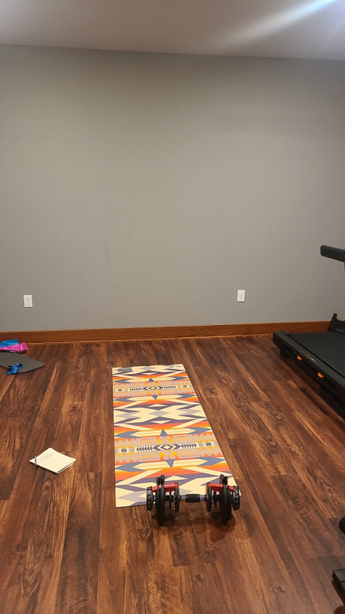 Home gym wall covering