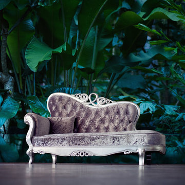 The Beauty of Tropical Leaves