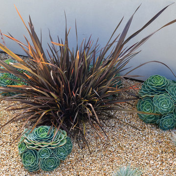Modern Desert Style: a Water-Wise Front Yard Patio & Garden