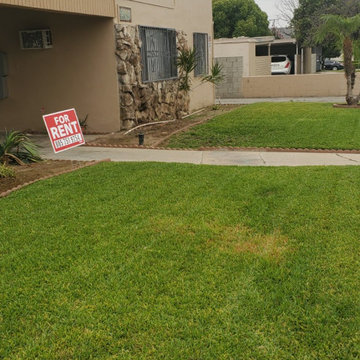 Landscaping