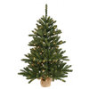 Vickerman 24" Anoka Pine Christmas Tree With Burlap Base Dura-Lit 35 Clear