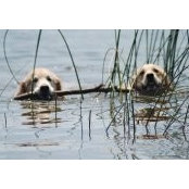 Foto von Margie Gerrish