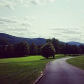 Stephanie Salisbury's photo