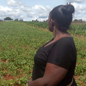 Wangari Mwangi's photo