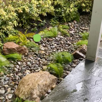 RainGarden + Stormwater Management