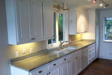 Inspiration for a kitchen remodel in Seattle