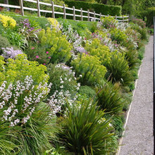 Jo Gardens