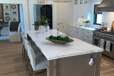Kitchen - transitional kitchen idea in Chicago