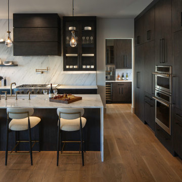 Tiger's Eye Contemporary Kitchen