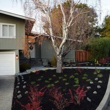 Entry pathway and steps