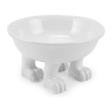 Pet Accessories