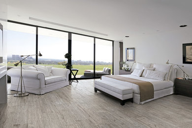 Foto di una camera da letto con pavimento con piastrelle in ceramica e pavimento grigio