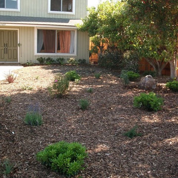 Eco Friendly Landscapes