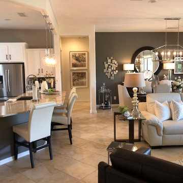 Buckeye AZ/Sun City Festival interior paint consultation