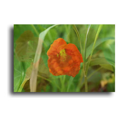 Photography - Fine Art Prints