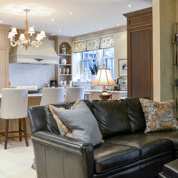 Chicago Residence