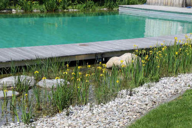 Geräumiger Klassischer Pool in individueller Form in Sonstige