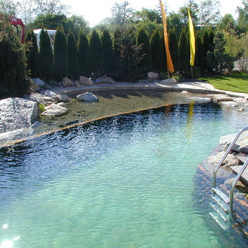 Schwimmteich