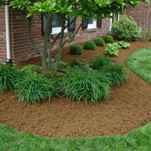 Landscape Ideas