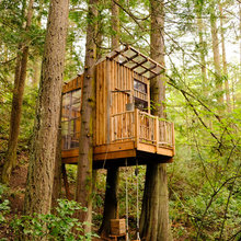 Cubby House Forest Dwellings