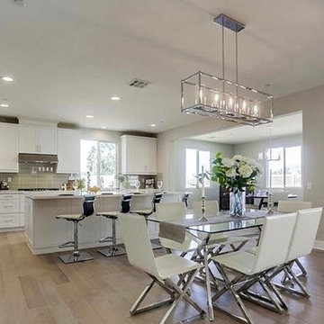 Model home staging - Vista CA 2019