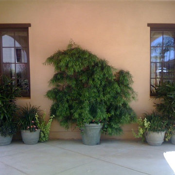 Landscape Designs