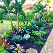 right side back yard pool