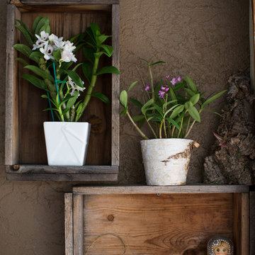 Asian Inspired Garden - California Style