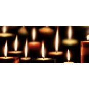 Elizabeth Allen's photo