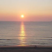 Lynn Harris's photo