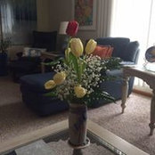 Cathy Zimmerman's photo