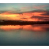 Isabel Weiss's photo