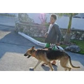 Mario Donato's photo