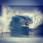Ryan Voysonさんの写真