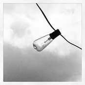 Carole Tedesco's photo