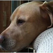 James Johnson's photo