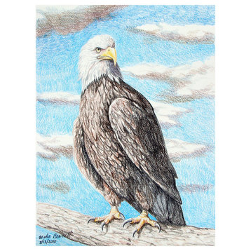 Mike Bennett Bald Eagle Art Print, 18"x24"