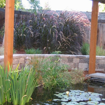 Ponds & Waterfalls from Treasure Valley Water Gardens