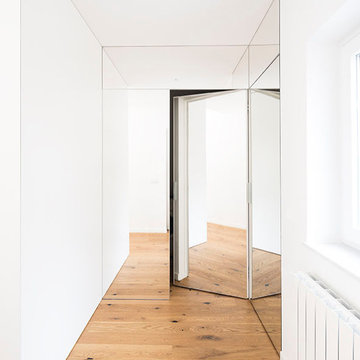 Spiegel Secret Tuer