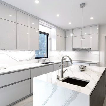 Wintery Leicht Kitchen