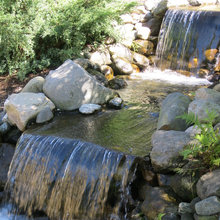Waterfall and koi pond
