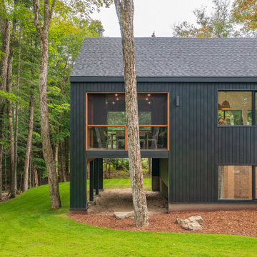 Forest Edge