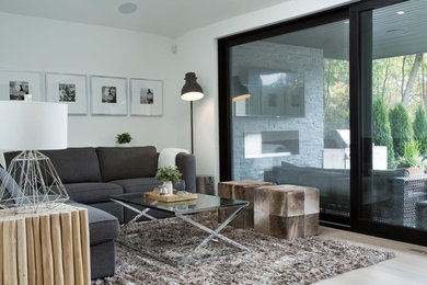 Inspiration for a modern home design remodel in Toronto