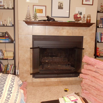 ZC fireplace before gas insert