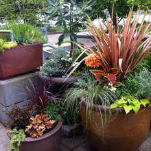 Container Garden